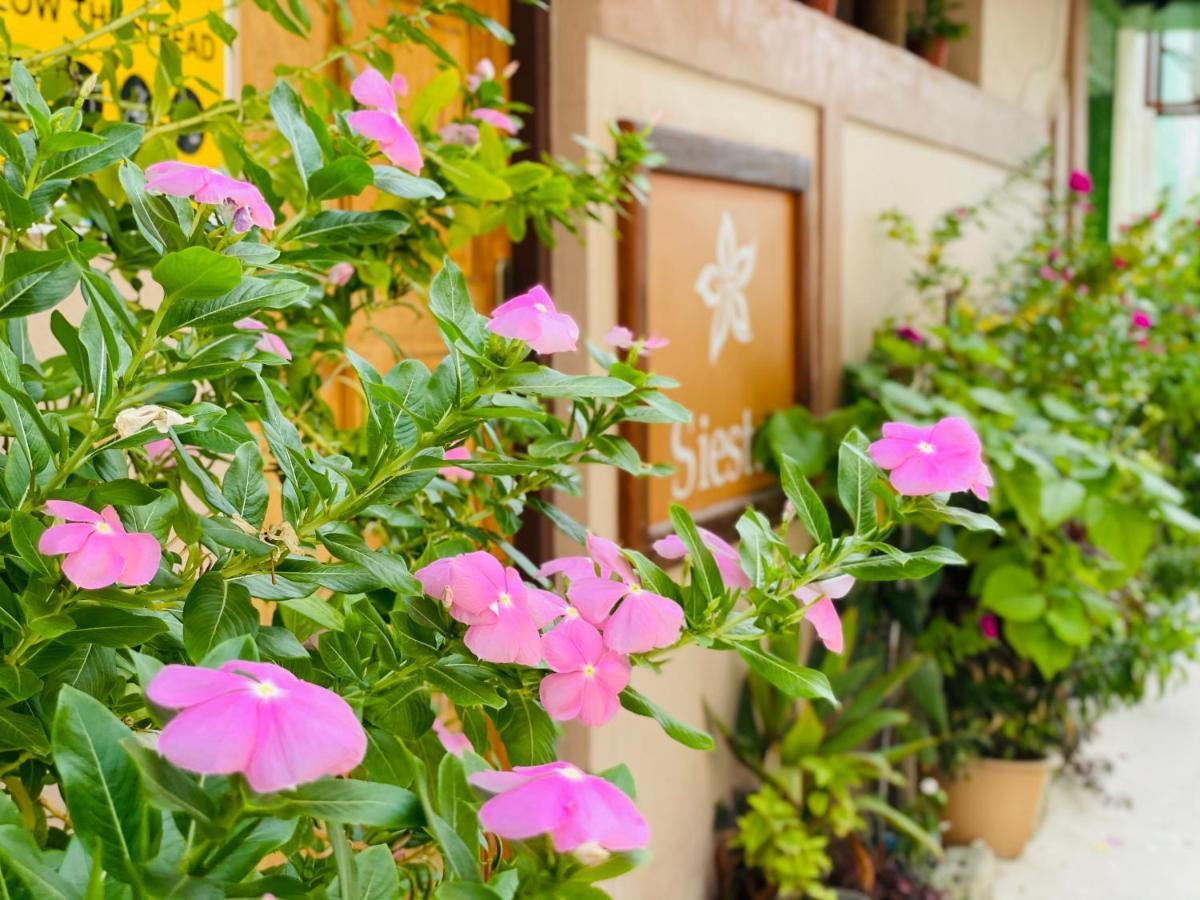 Hotel Siesta Beach Maafushi Exterior foto